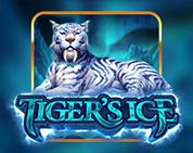 Tiger`s Ice